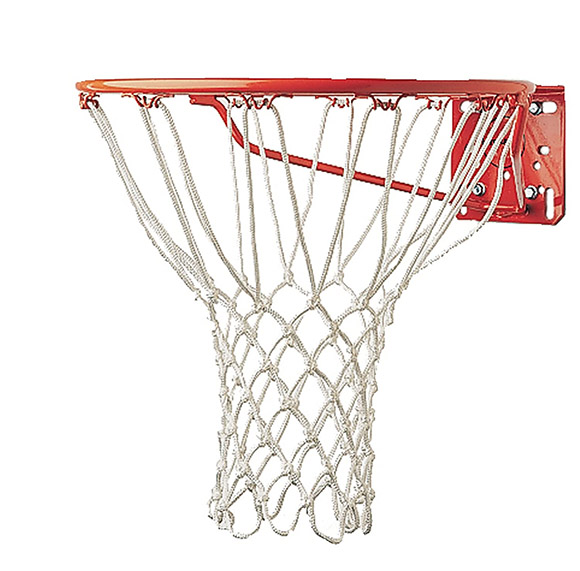 PROFESSIONAL BASKETBALL NET