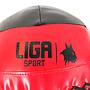 WALL BALL 8 KG LIGASPORT